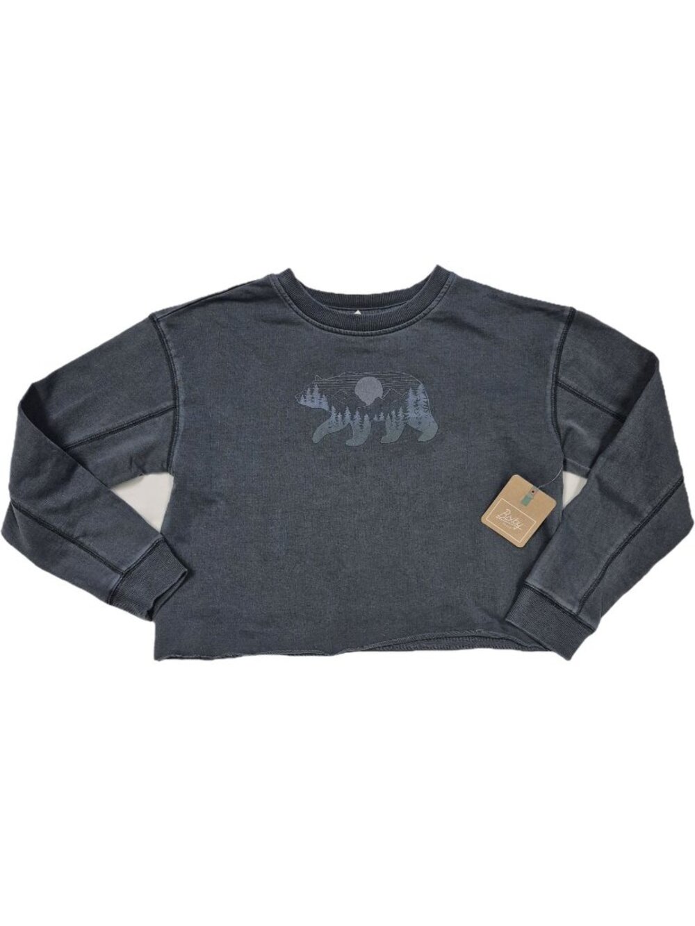 Bixby Nomad Bear Cropped Sweatshirt Bear Grey Boxy Raw Edge Girls L 12-14
